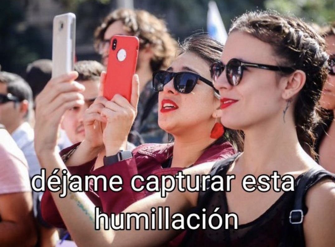 Mary🌳🌎 tweet media