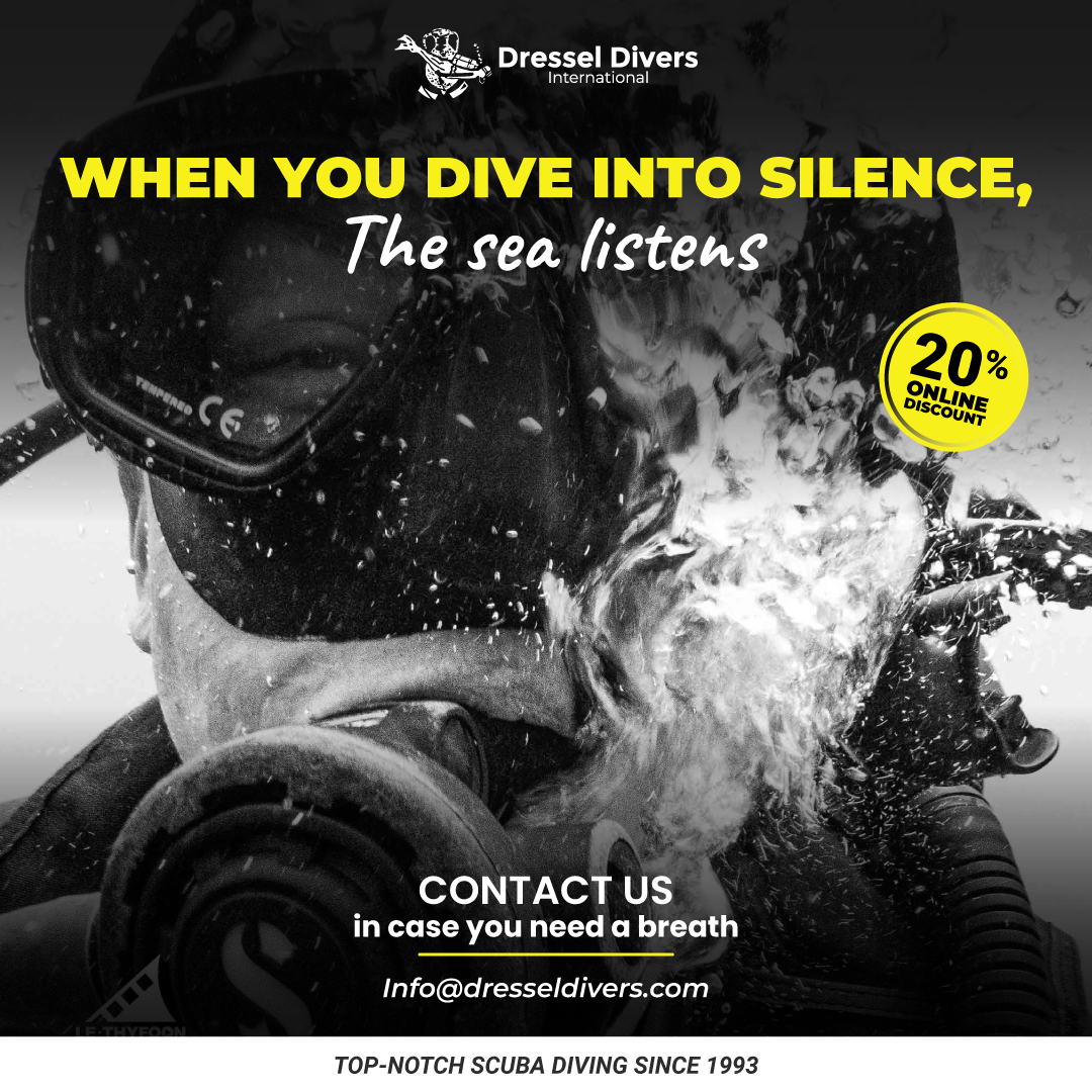 DRESSELDIVERS tweet media
