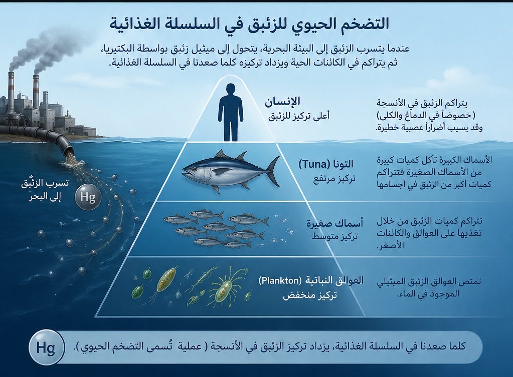 إلهام 🇸🇦 tweet media