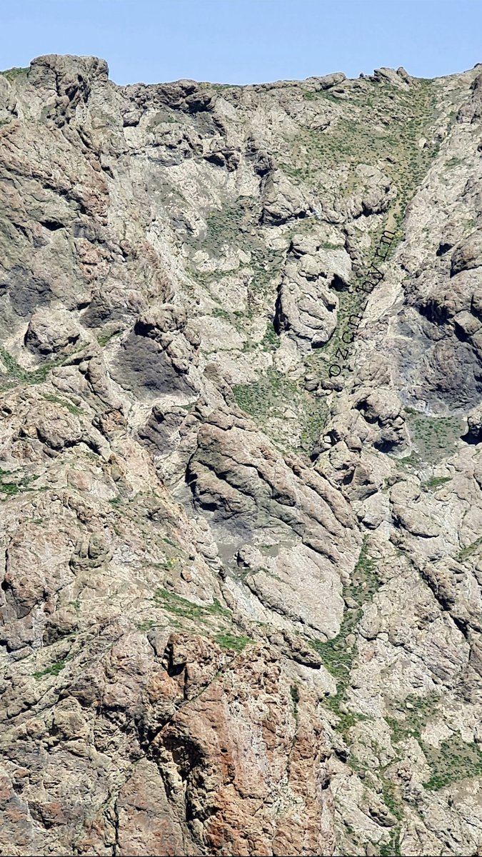 Özcan Bayram tweet media