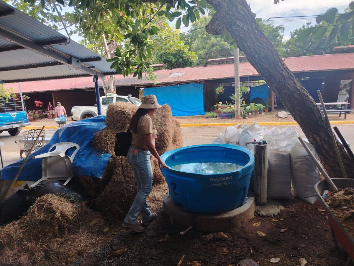 Ministerio de Salud de Panamá tweet media