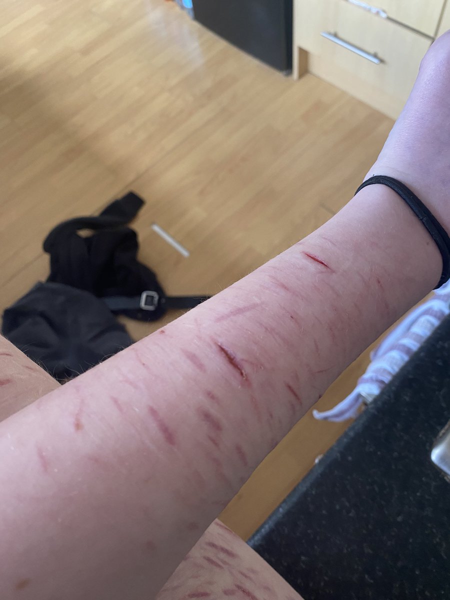 ꒰ ⌗ . luke of shedtwt .ᐟ 𓏵 tweet media