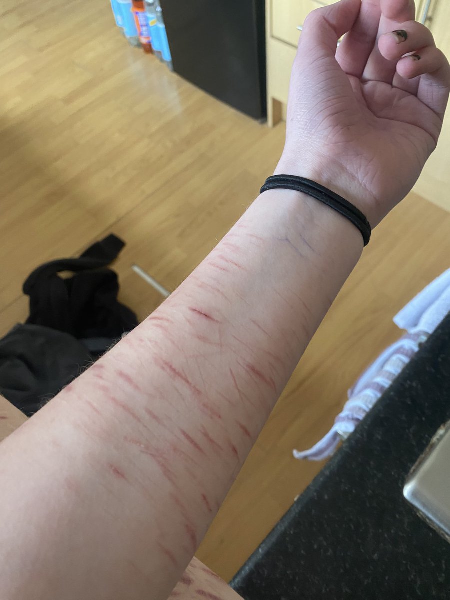 ꒰ ⌗ . luke of shedtwt .ᐟ 𓏵 tweet media