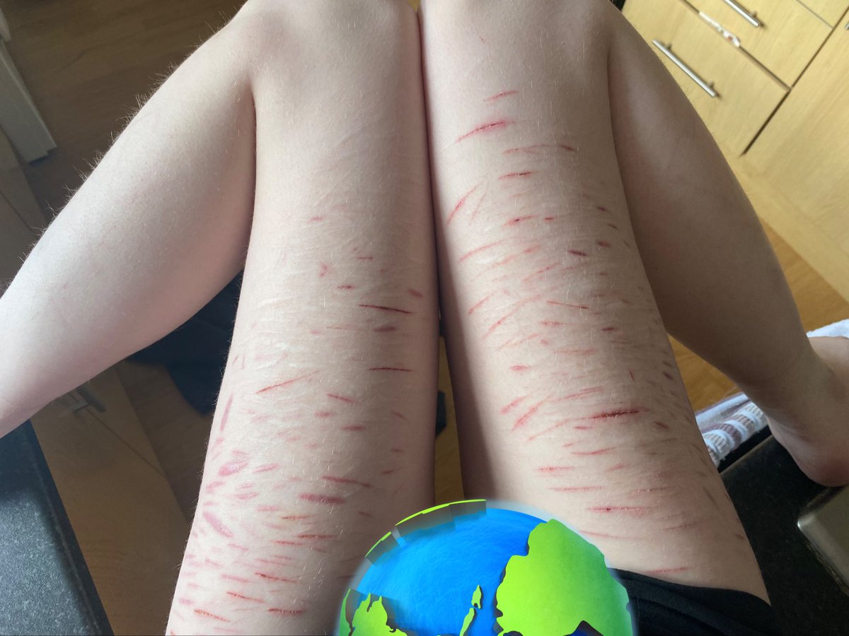 ꒰ ⌗ . luke of shedtwt .ᐟ 𓏵 tweet media