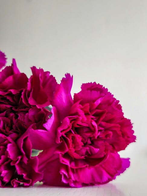 Antonio Bray tweet media