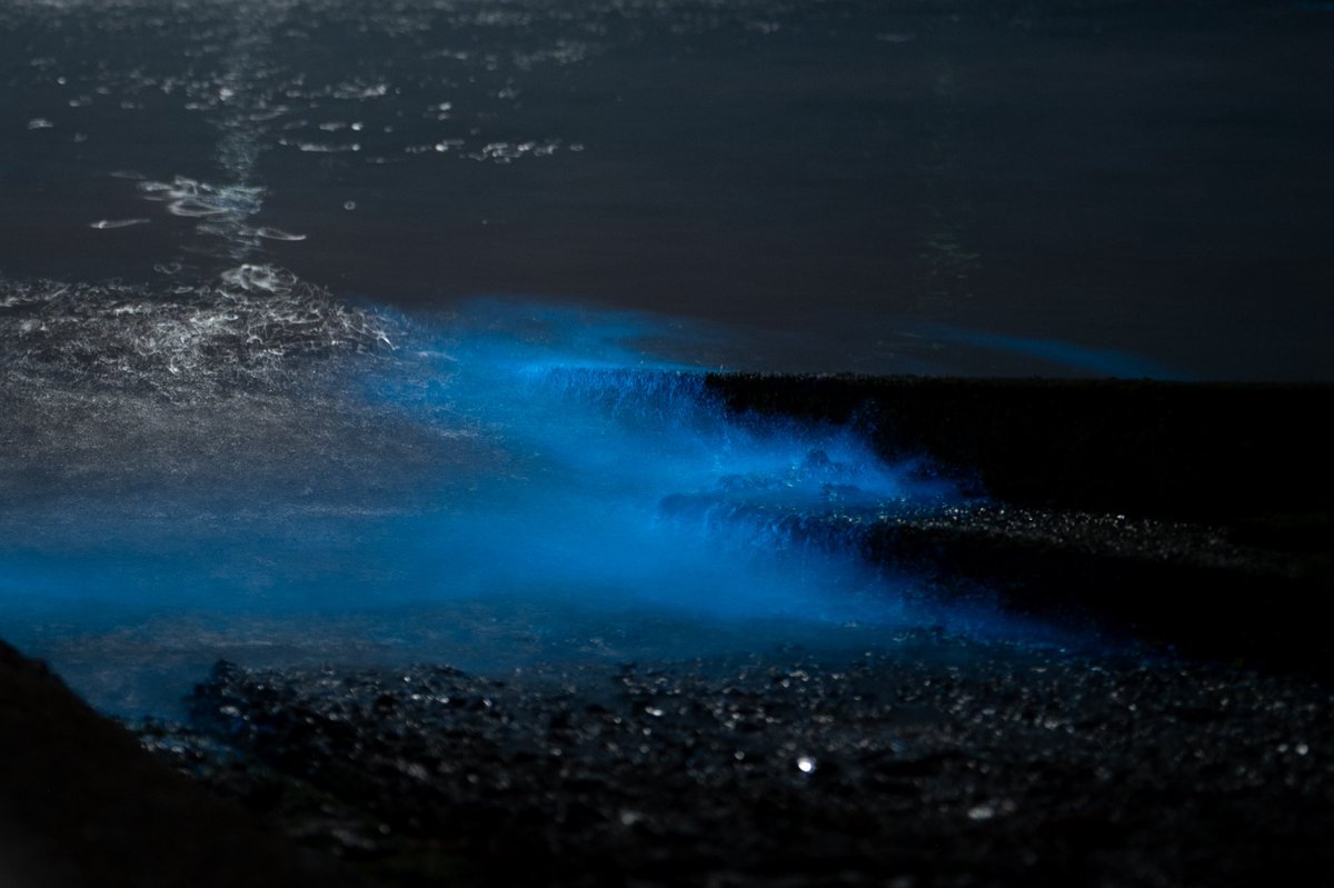 たくみ tweet media