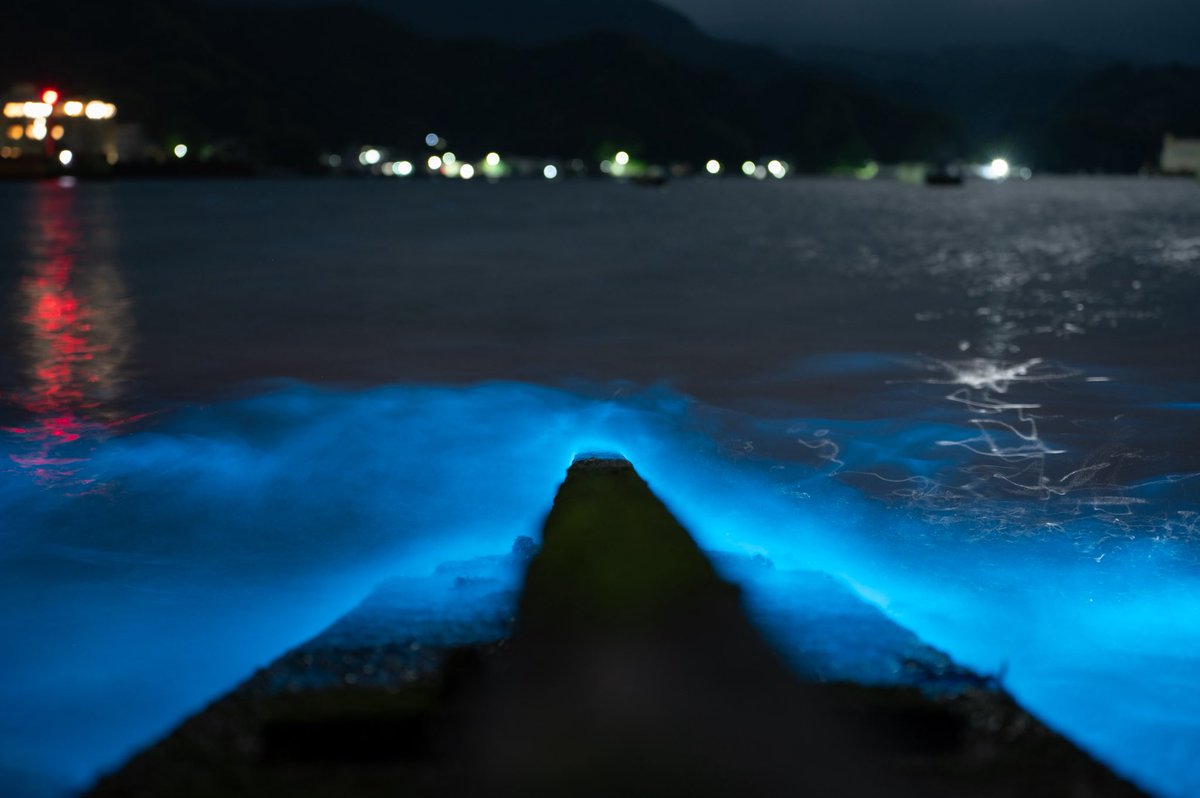 たくみ tweet media