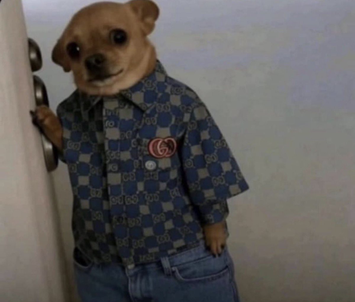 Tennyace. PY tweet media