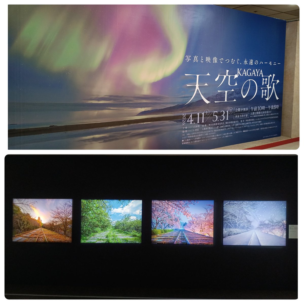 semaco3's tweet photo. かねてから気になっていたKAGAYAさんのプラネタ「星の旅・世界編」と展示会「天空の歌」を観に横浜へ行ってきた。
まさかご本人にお声かけいただけるなんて嬉しすぎた〜(*´`*)💞 #KAGAYAさん https://t.co/mcpJMaWcYj