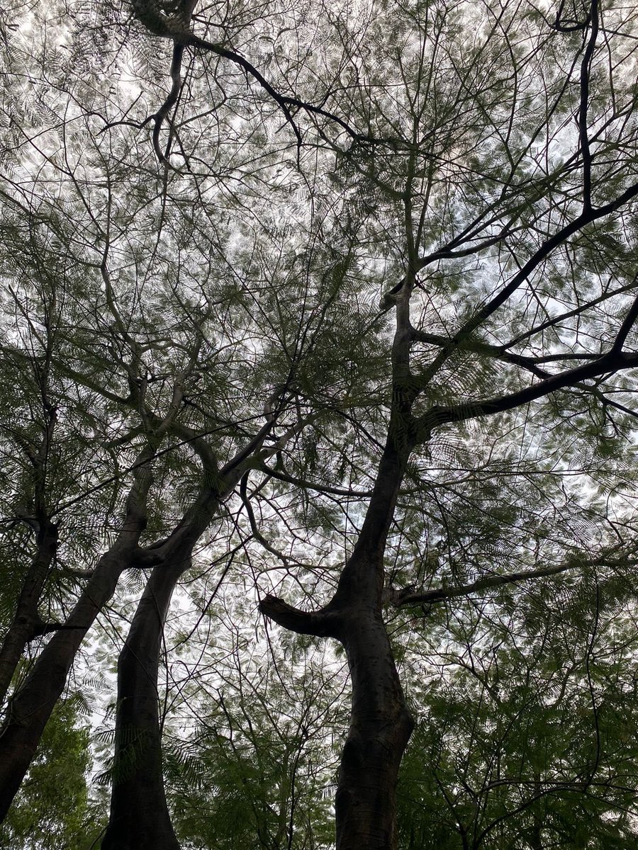 eftu 🪐 tweet media