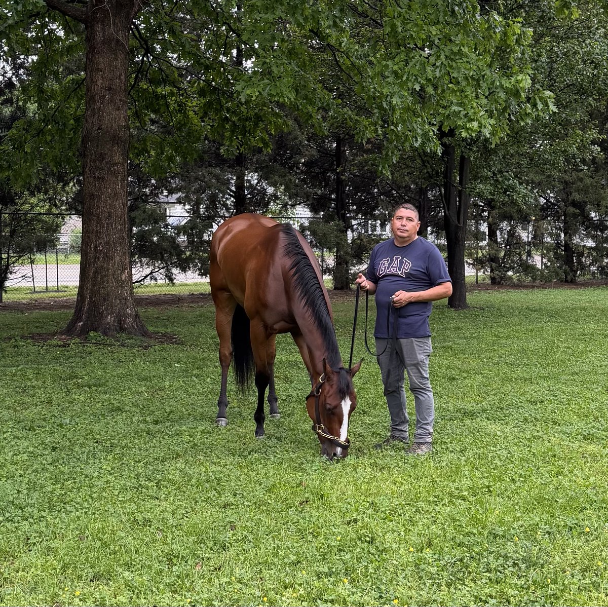 Equibase tweet media