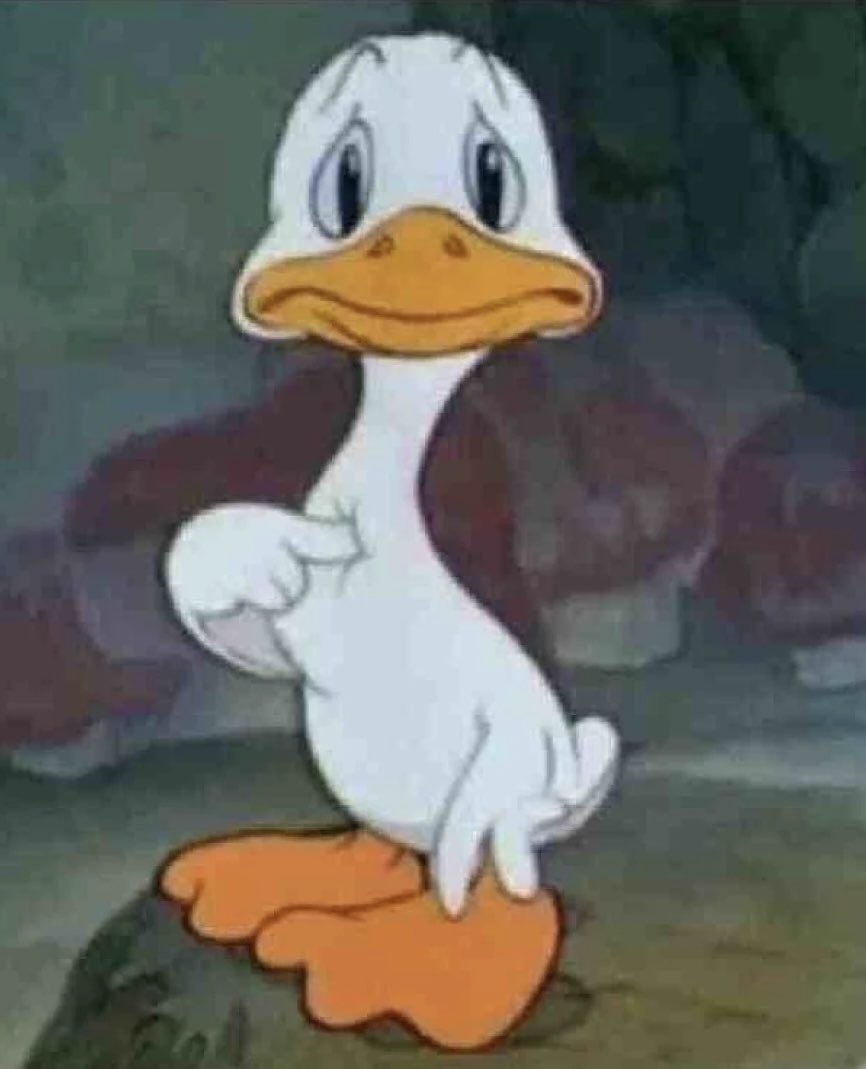 Patrick℗ estrela tweet media