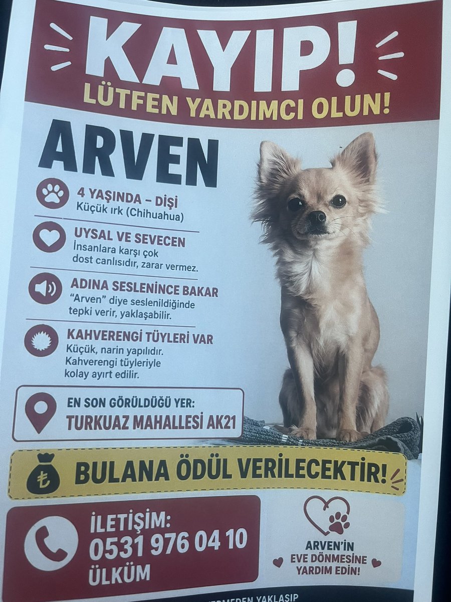 elfi⁷ tweet media