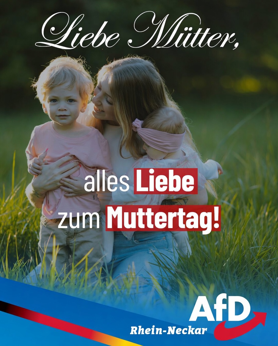 AfD Rhein Neckar tweet media