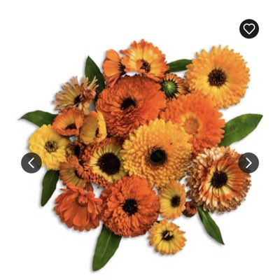 Kuthia11's tweet photo. #NewProfilePic https://t.co/F3cw314fkU