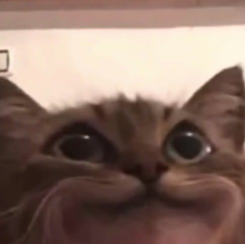 The Bitter Reckoning. tweet media