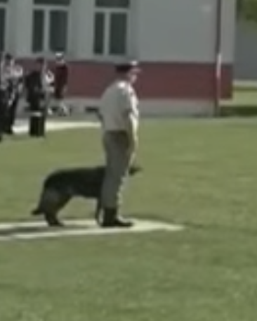 Ch.LECHEVALIER tweet media