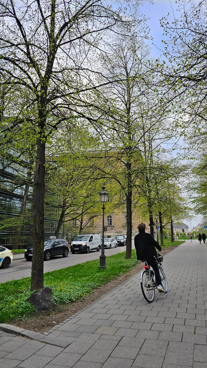 هَویج tweet media