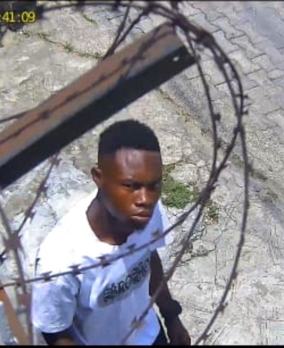 gWnPHA!!! tweet media