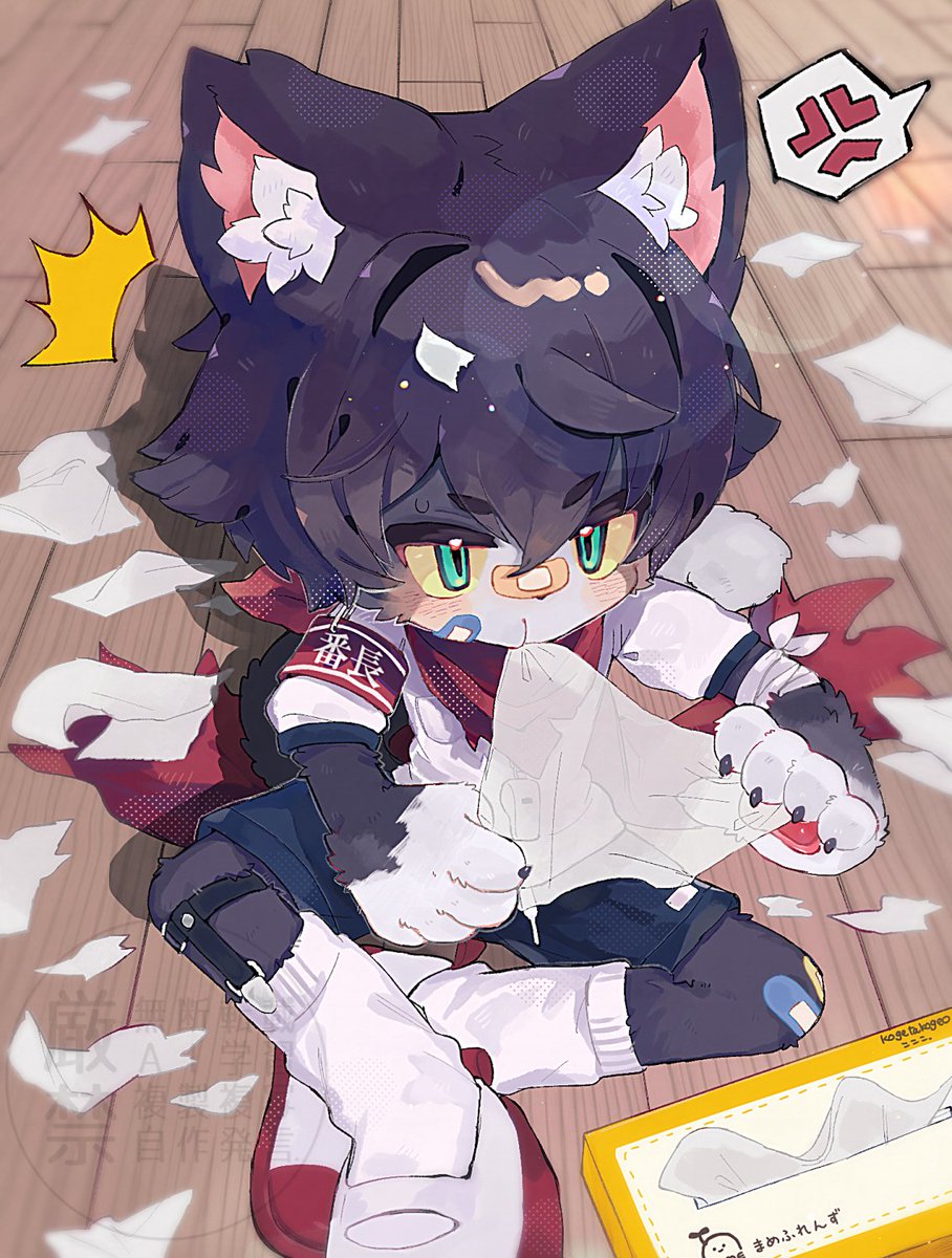 こここ tweet media