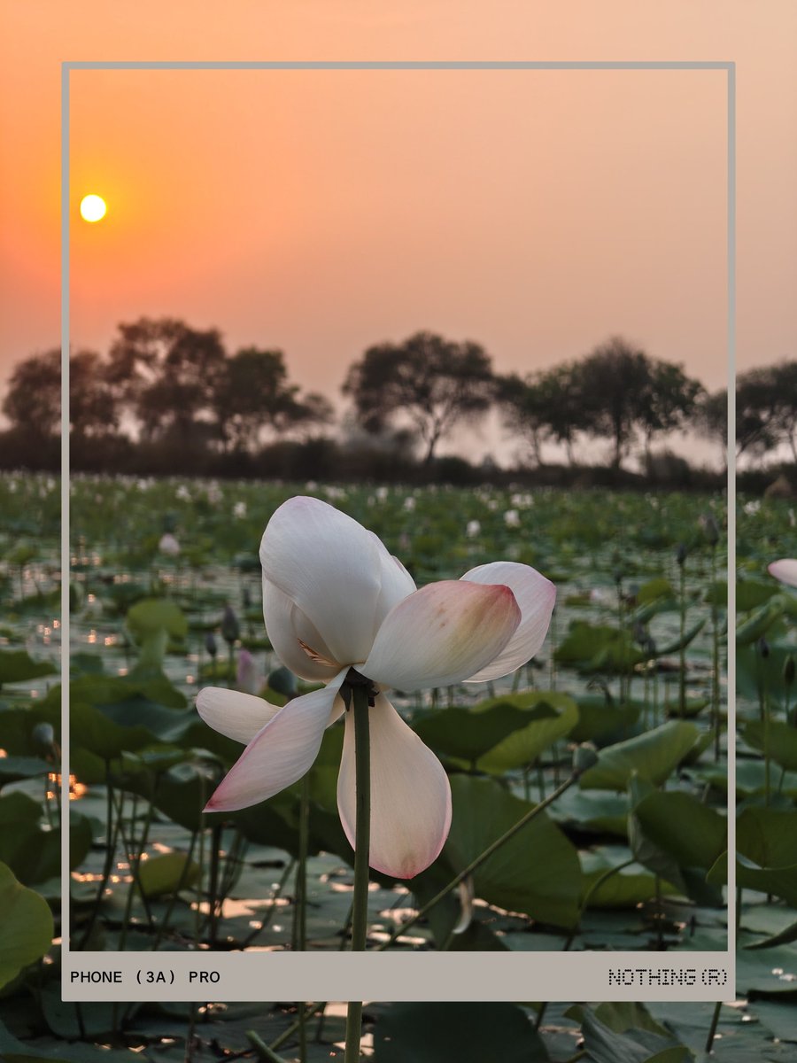 SubratK61230951's tweet image. #mobileclick #mobilephotography #photography #nature #naturephotography #photooftheday #india #mobile #instagram #mobilephotographyindia #instagood #photographylovers  #flowers #mobilephoto  #picoftheday #of #indianphotography #naturelovers  # odisha # Boudh ( purunakatak )