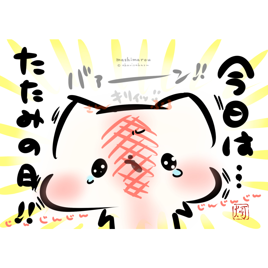 4/29は「畳の日」

※良い子はマネしないでね！

ましまろう🐾