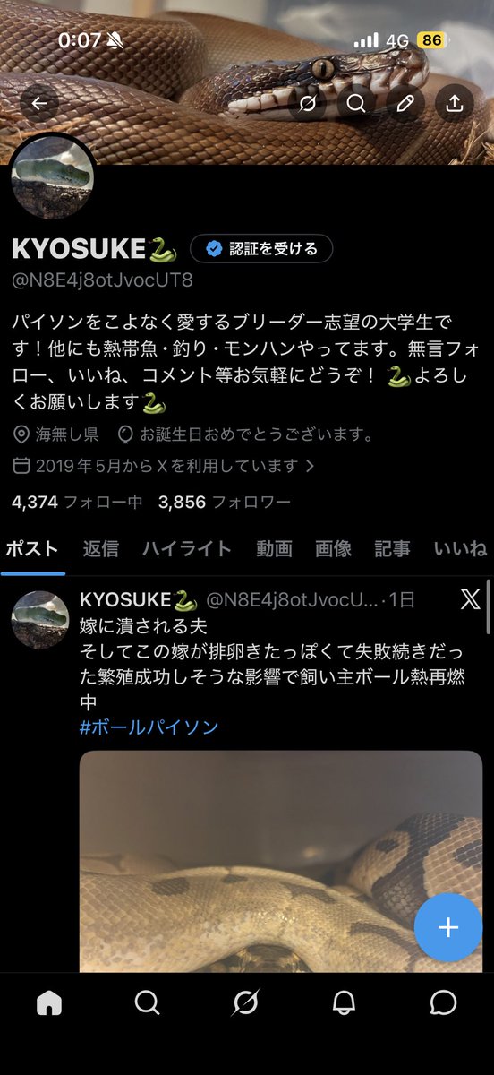 KYOSUKE🐍 tweet media