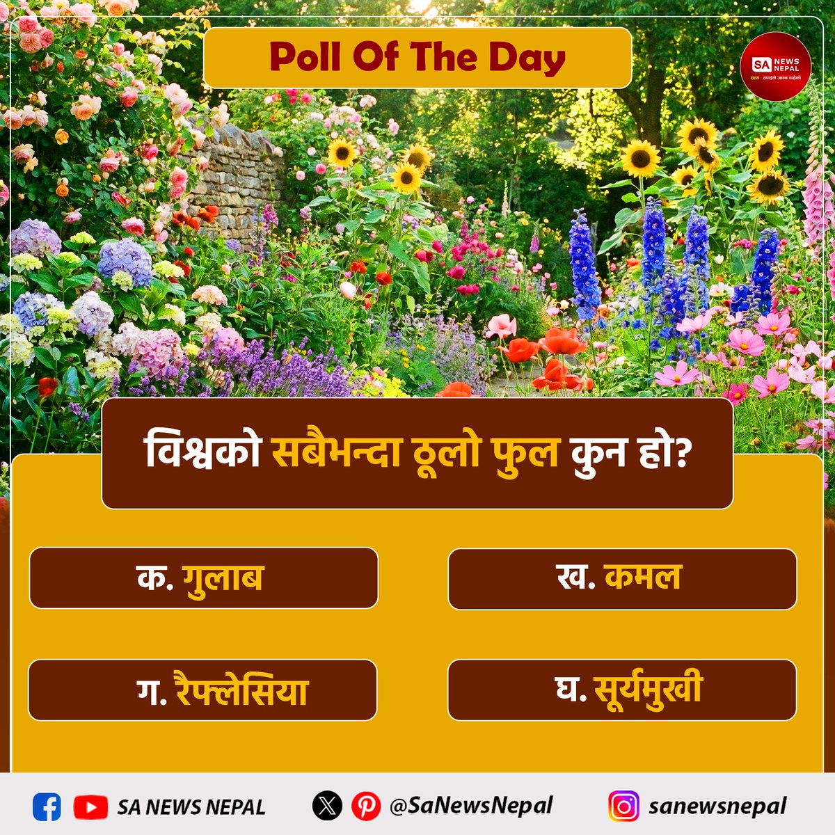 SaNewsNepal's tweet image. विश्वको सबैभन्दा ठूलो फुल कुन हो? SA News Nepal #PollOfTheDay

क. गुलाब
ख. कमल
ग. रैफ्लेसिया
घ. सूर्यमुखी

आफ्नो जवाफ कमेन्ट बक्समा बताउनुहोस्।