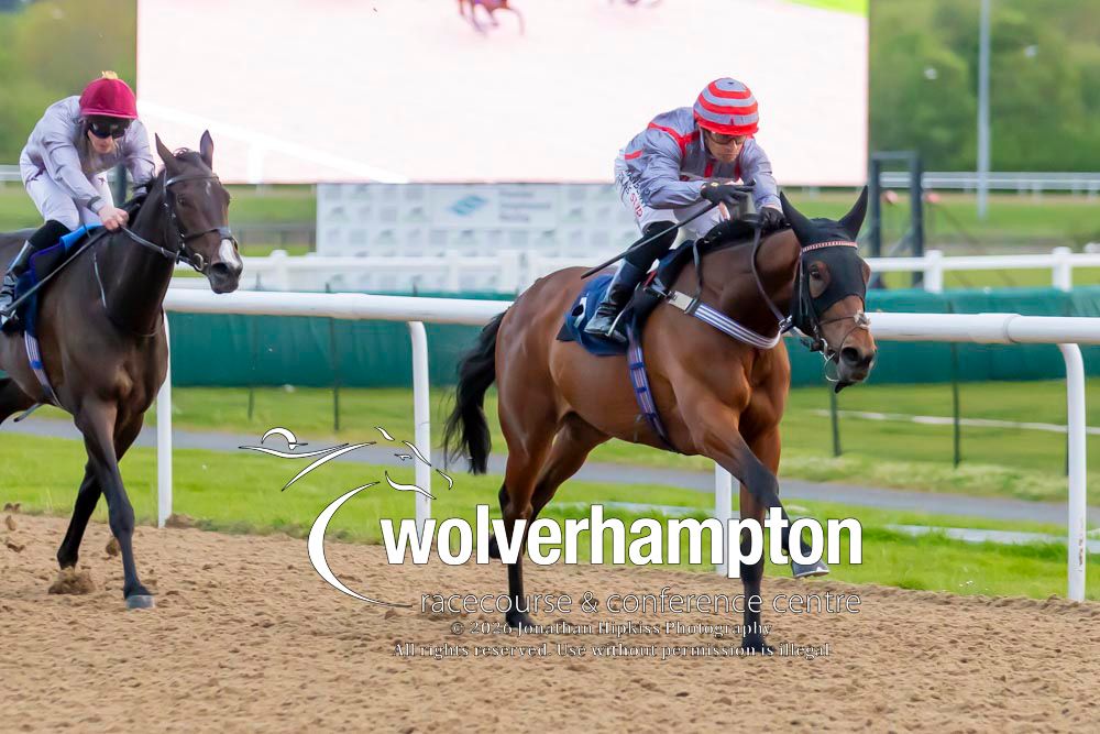 Wolverhampton Races tweet media