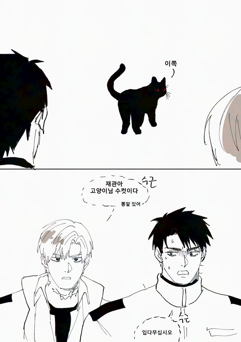 초코보🐤 tweet media