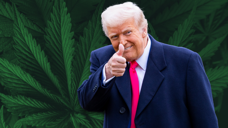 todd_harrison's tweet photo. Trump is stepping carefully into the weeds of marijuana legalization

https://t.co/38idfO0pRZ https://t.co/WJXUsC1aUW
