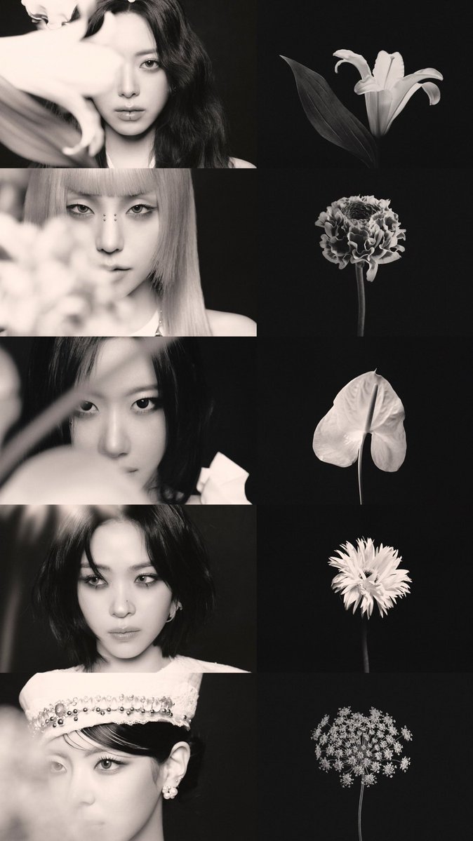 aritzystan🪜🍭ꕤ tweet media