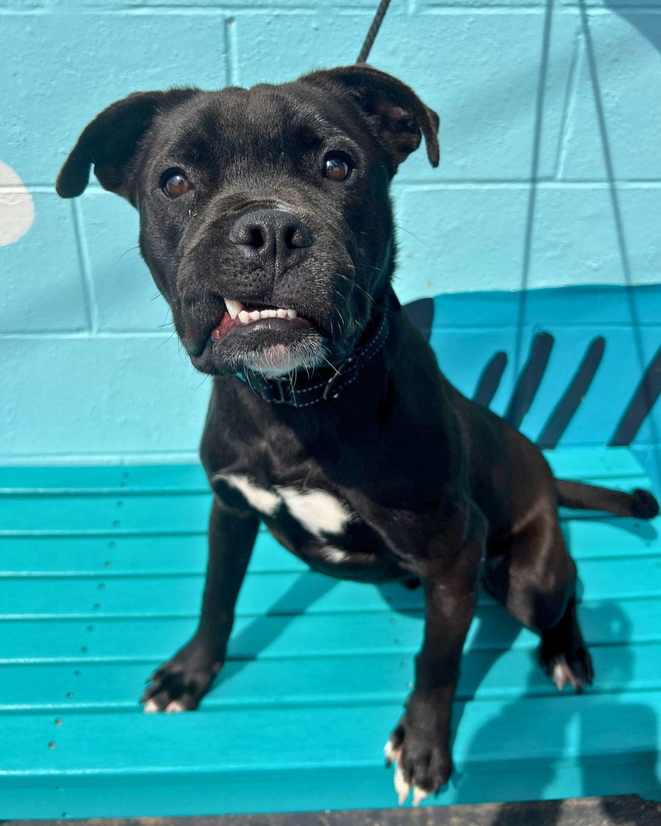 15/10 Foundation tweet media