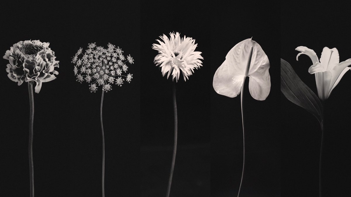 hyunibini enjoyer tweet media