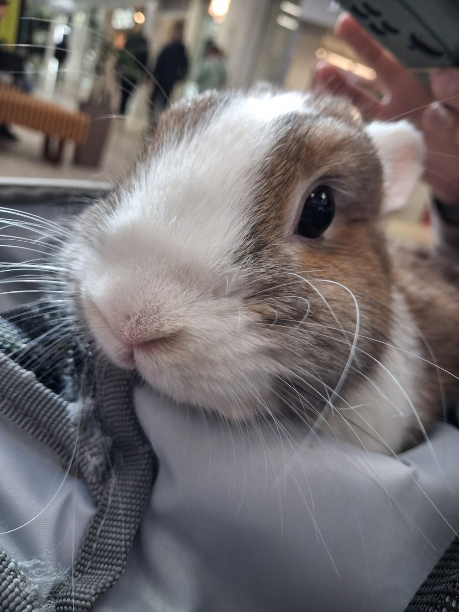 вона видивляється покупця каф