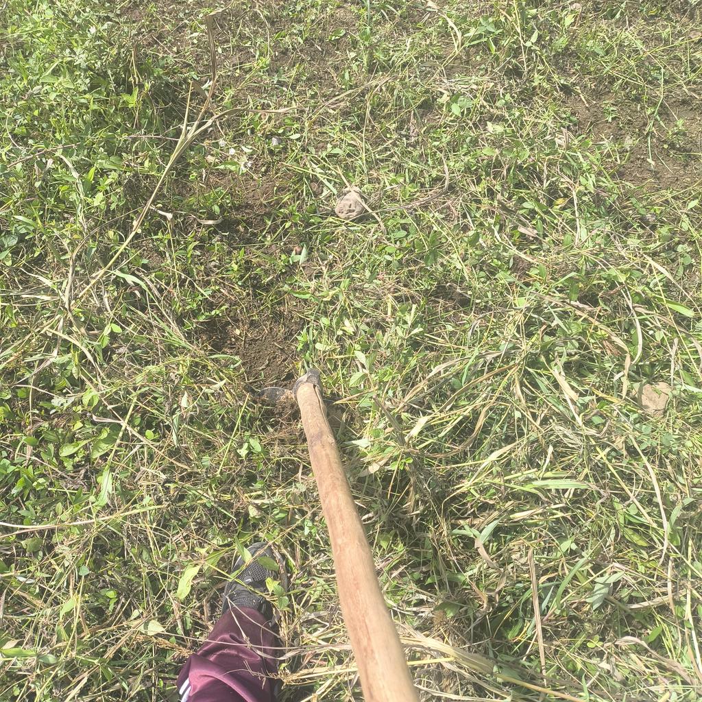 ale .ᐟ .ᐟ tweet media