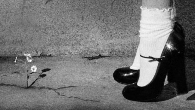 aastha ꕤ tweet media