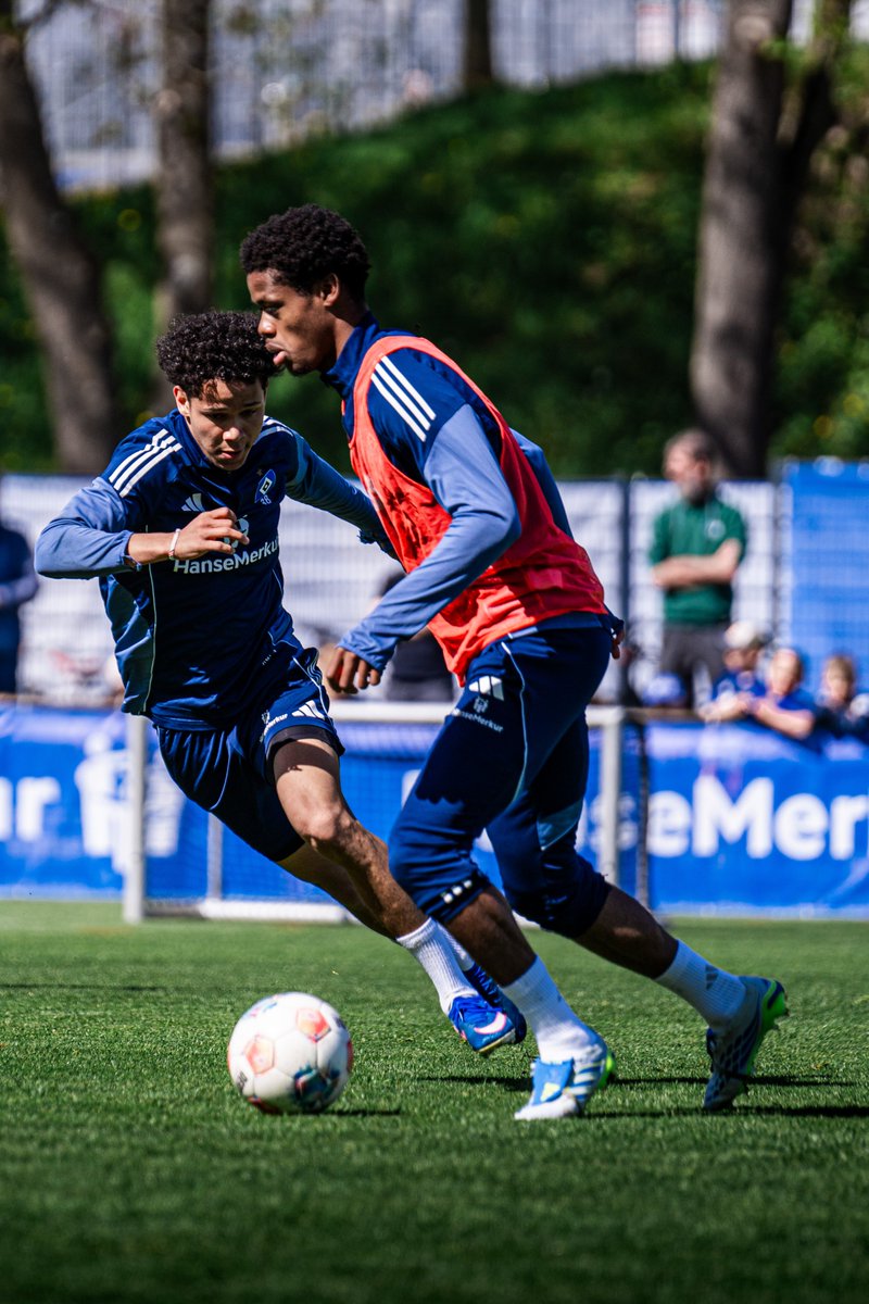 Hamburger SV tweet media