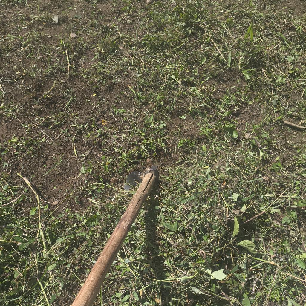 ale .ᐟ .ᐟ tweet media