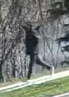 1059TheRegion's tweet image. #1059Newsroom #Vaughan 
Update – Police Seek Additional Witnesses After Young Female Grabbed by Stranger in Vaughan Park yrp.ca/en/Modules/New…