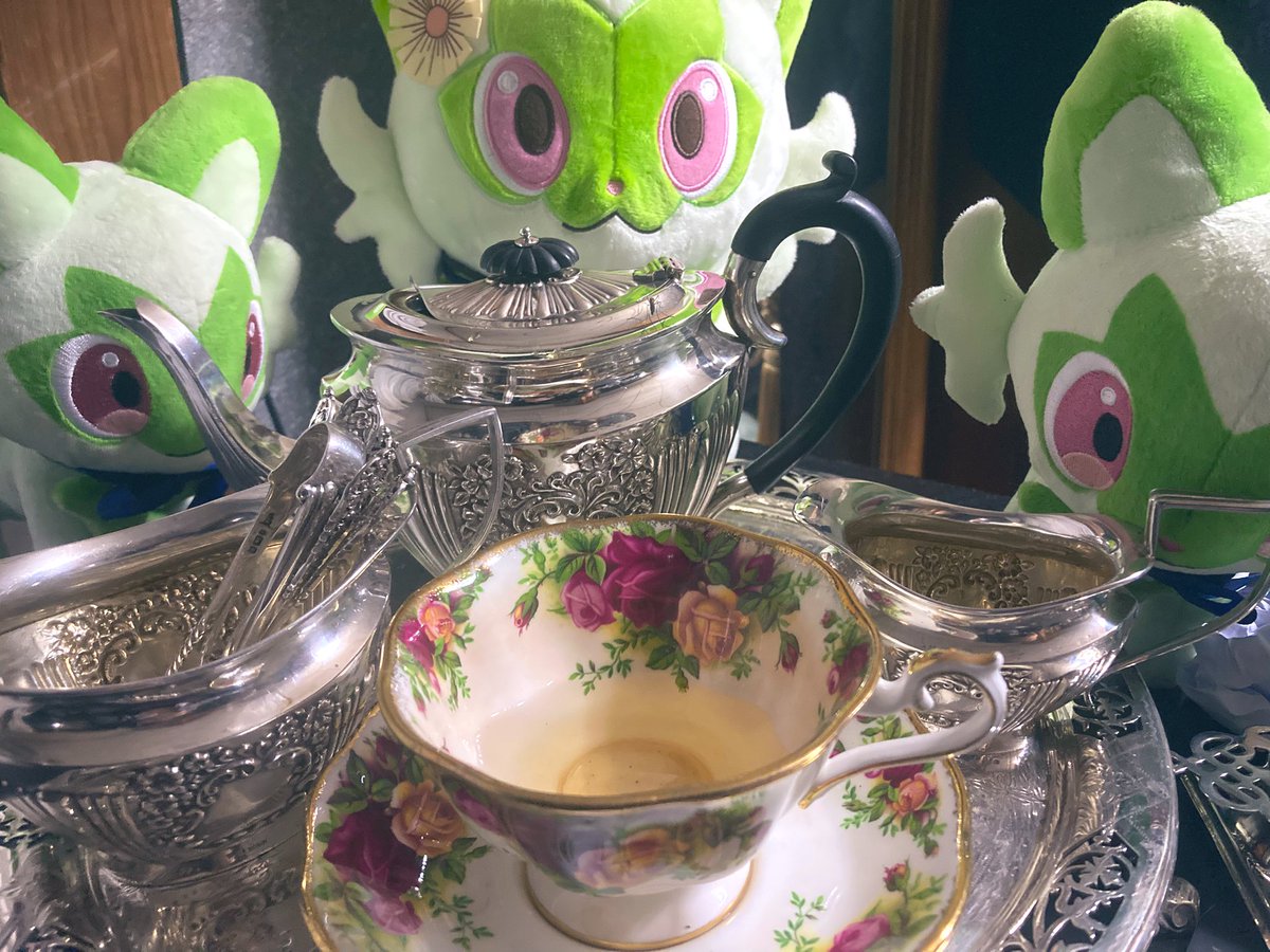 ニャオハとお茶会