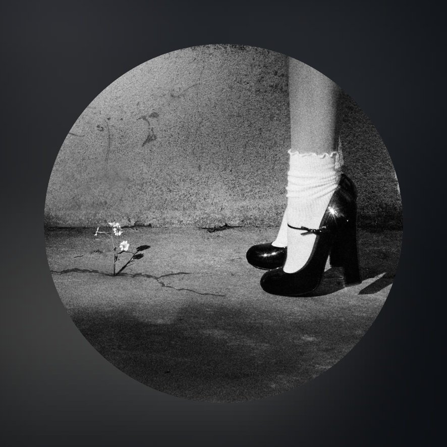 Ariana Grande Brasil tweet media