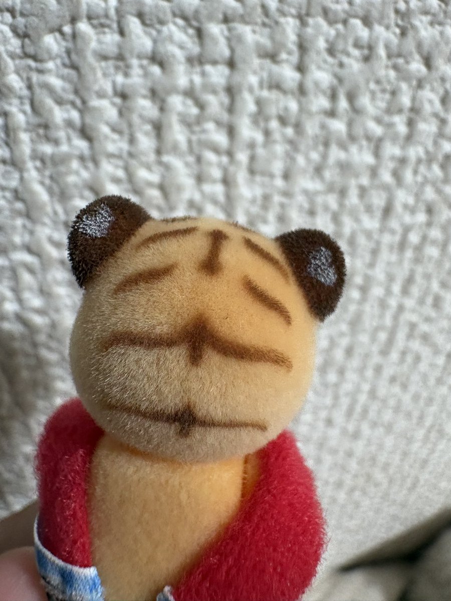 あちぇ（しおあじ） tweet media