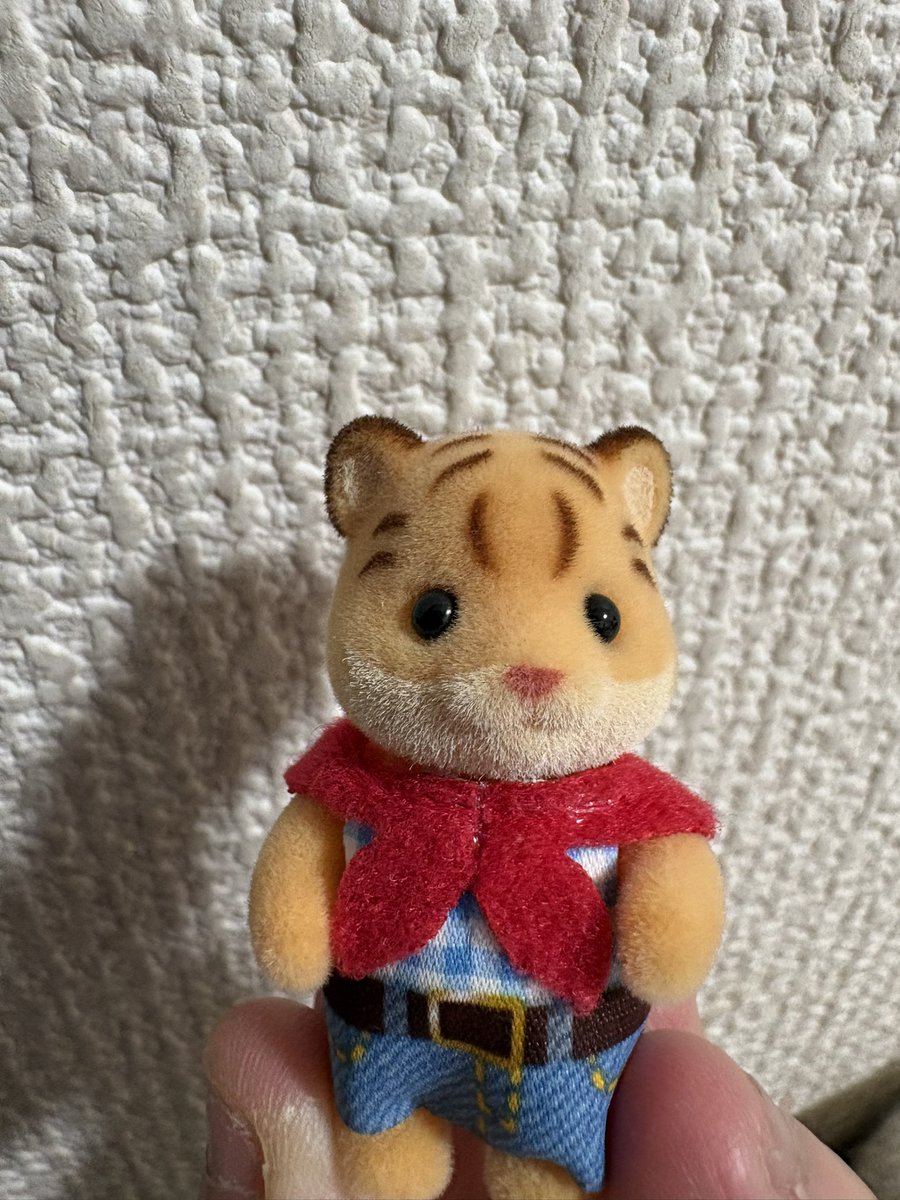 あちぇ（しおあじ） tweet media