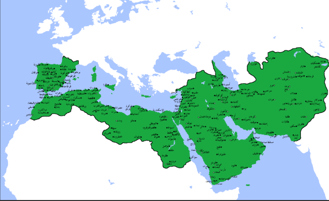 Ali Sheikh tweet media