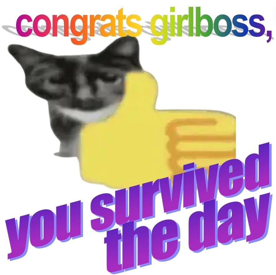 Punch Cat tweet media