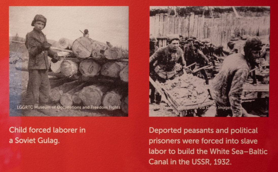 Capitalist Vision tweet media