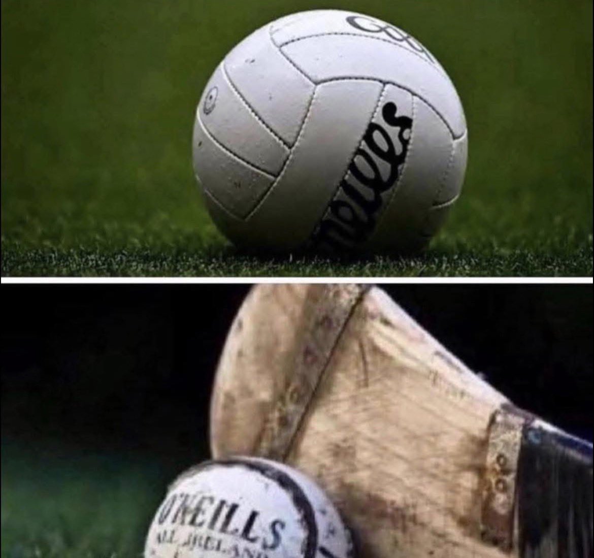 Eamonn Phelan tweet media