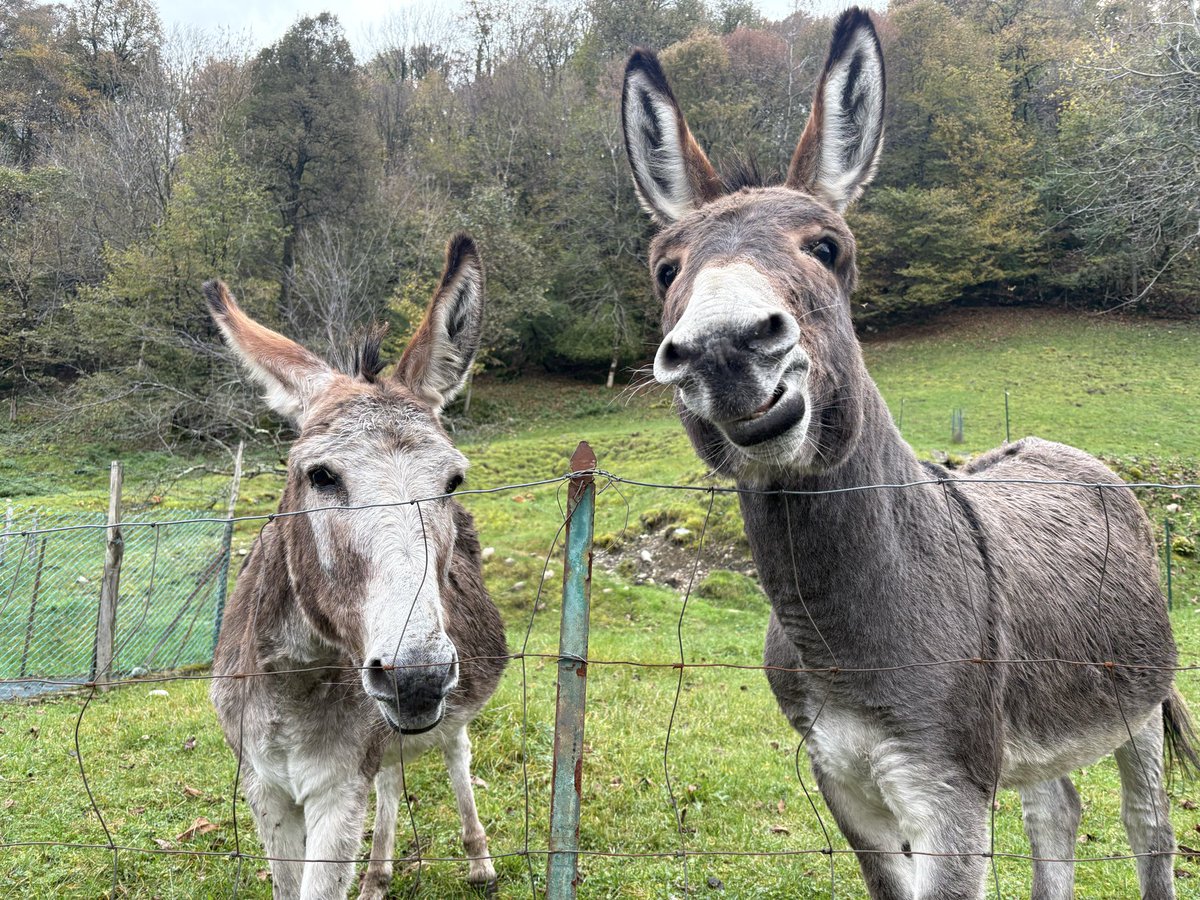 Elizabcullen's tweet image. #TwosdayTuesday 

#Photography #Photograph