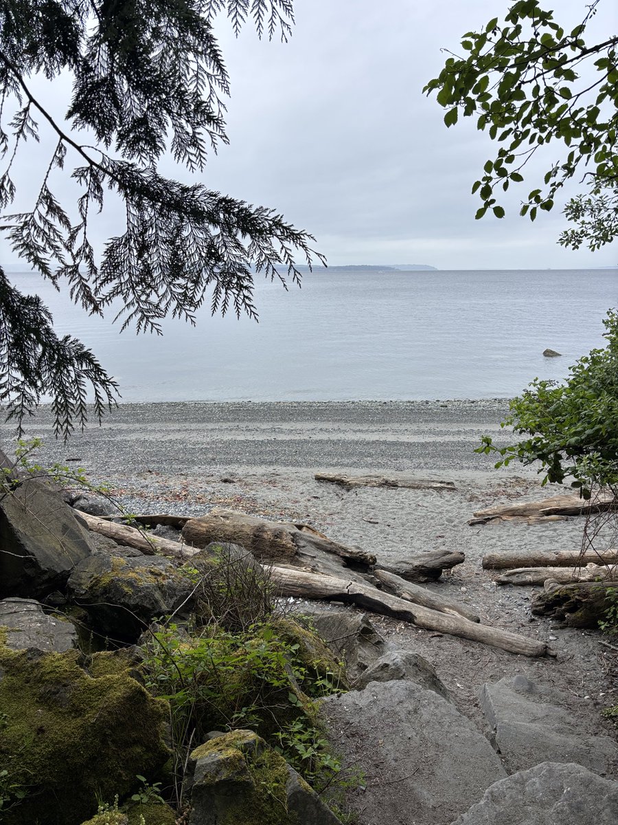 k44yej's tweet image. Out in #seattle to meet the US @MicrosoftAI Superintelligence team! We’re #Hiring and you can follow and DM for more info